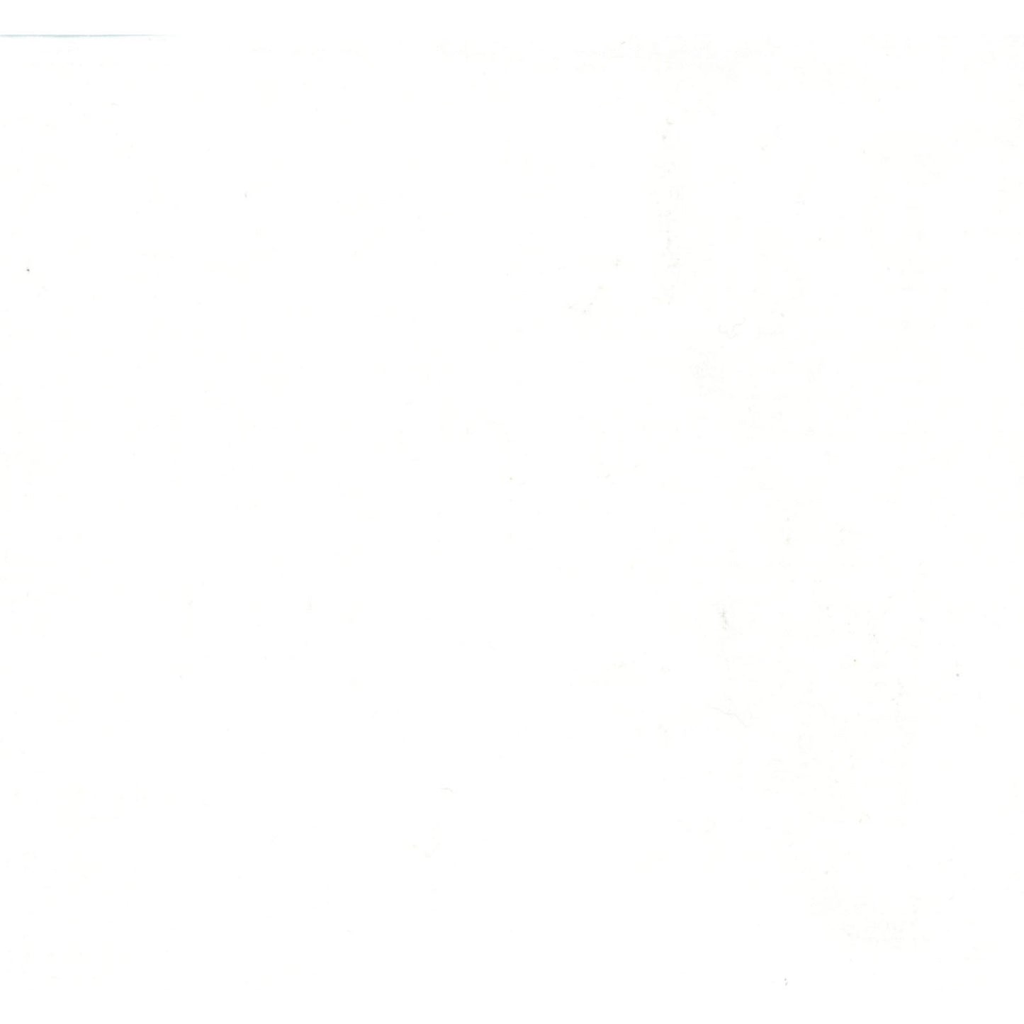 Simply Solids - Optic White - Licence To Quilt