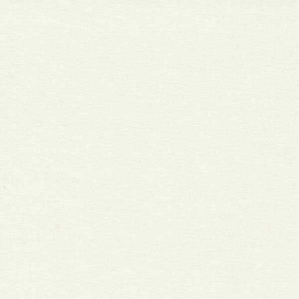 Quilters Basic Solid - Ecru - Licence To Quilt