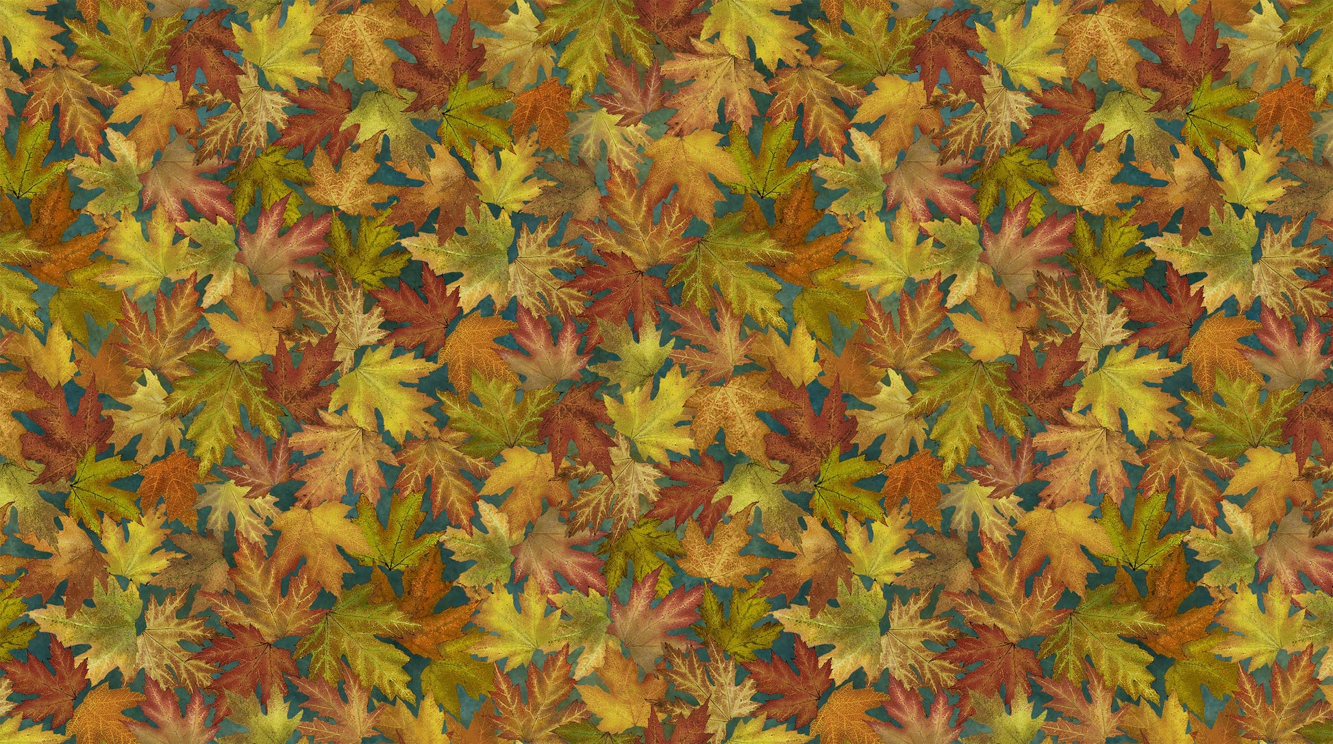 Autumn Splendor - Stonehenge - Packed Leaves - Dark Teal Multi - Licence To Quilt