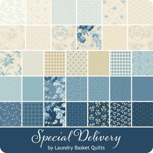Special Delivery - 2.5 Inch Strip Roll - 40