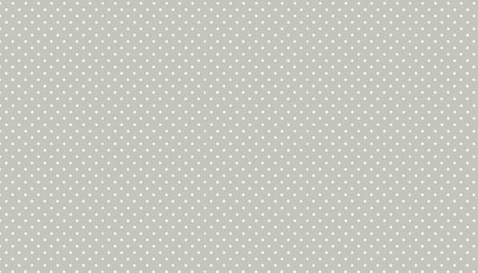 Spot 24 Shades - Spots on Silver - Licence To Quilt