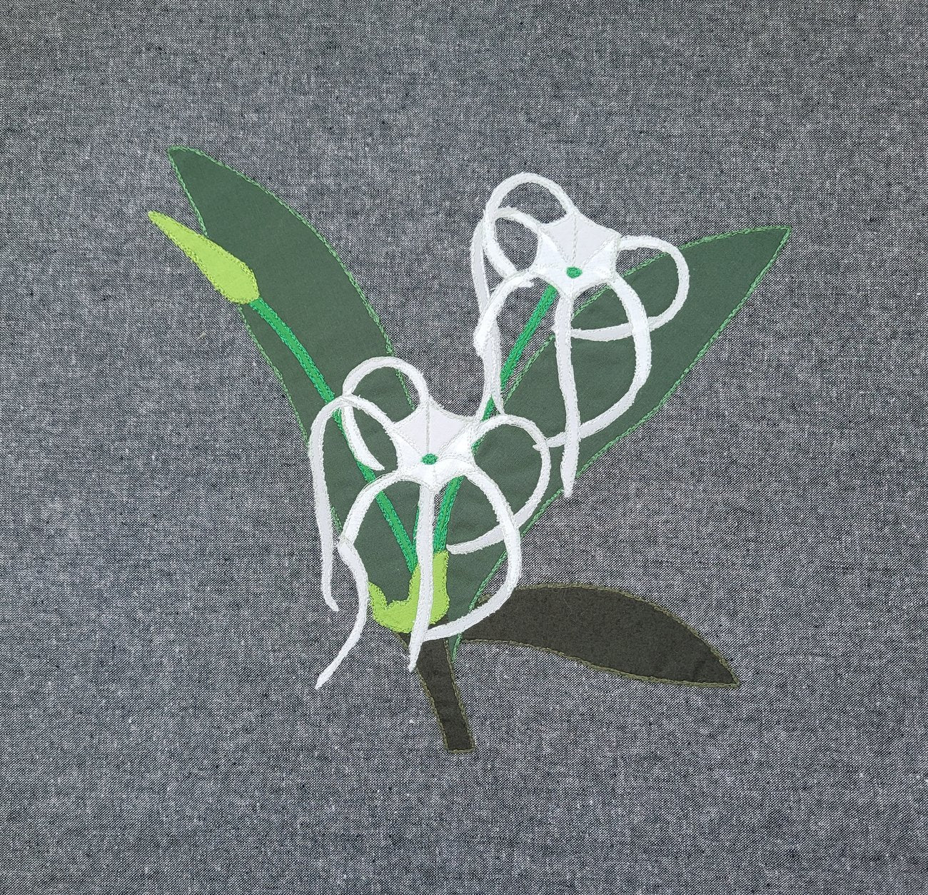 Aurifil Color Builders "Flora"- Décembre 2022 - Spider Lily - Licence To Quilt