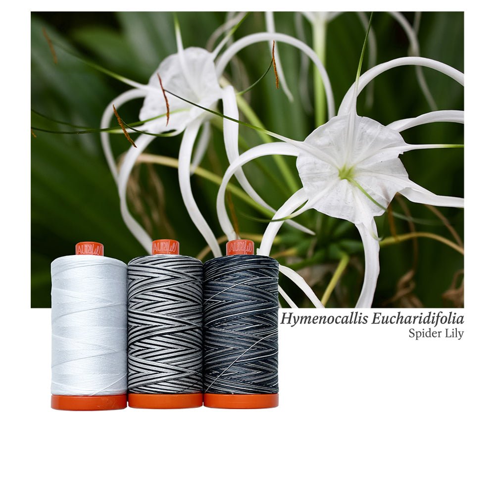 Aurifil Color Builders "Flora"- Décembre 2022 - Spider Lily - Licence To Quilt